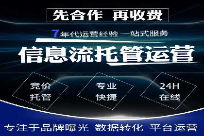 解析某某SEM服务公司的广告投放策略与效果评估
